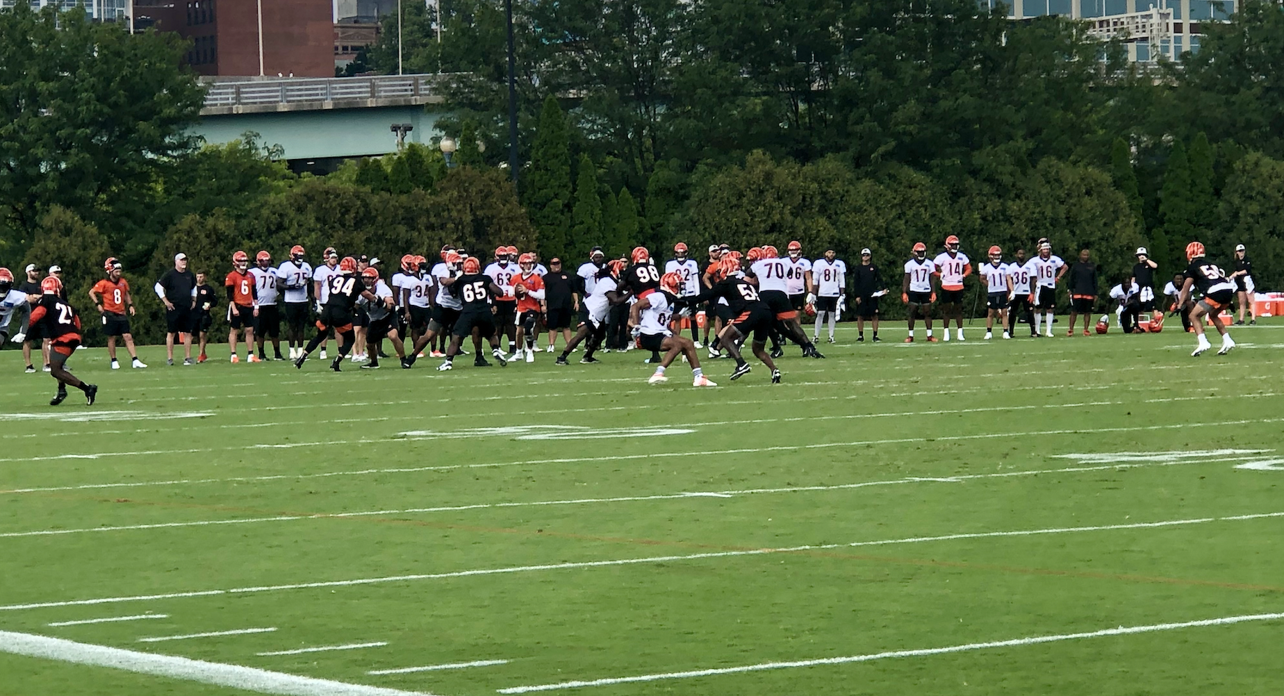 Bengals open preseason with 19-14 win over Bucs - Cincy Jungle