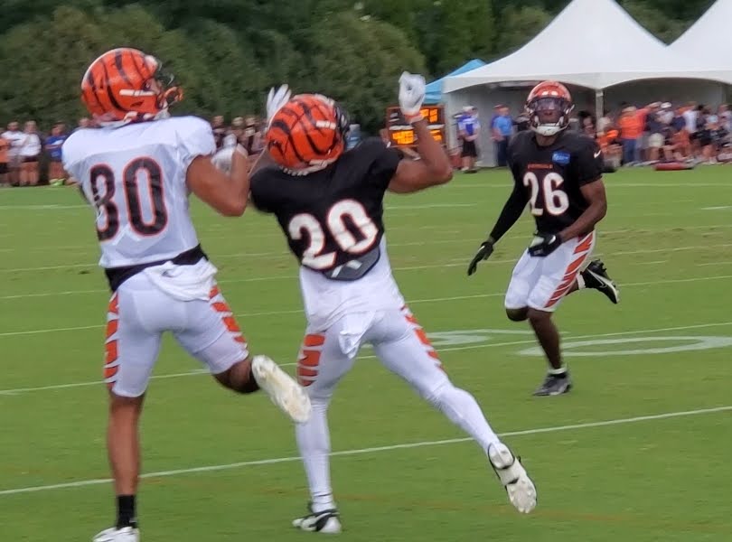 Bengals believe in core group of players, but roster changes coming