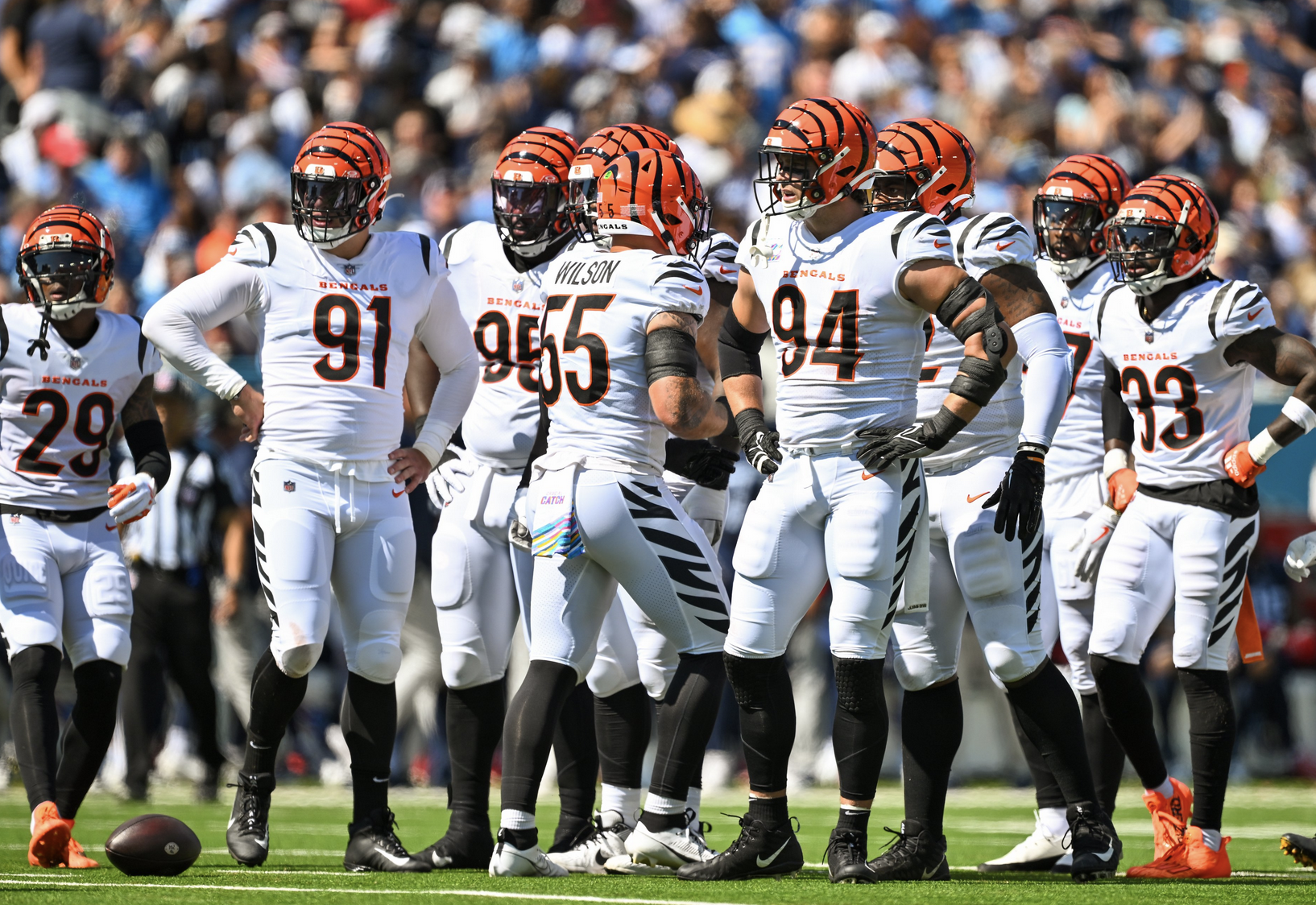 Bengals vs. Cardinals Time, Location, Streaming, Odds & More: Everything  you need to